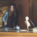 베이컨시 (Vacancy) 이미지