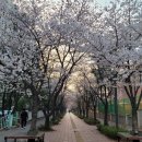 온수골사거리 이미지