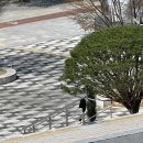 멍나들이 이미지