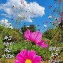 행복의료기 이미지