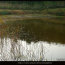 아화2리 이미지