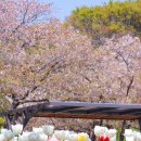 연지공원2 이미지