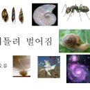 우주교역 이미지