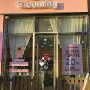 우주펫애견미용 이미지