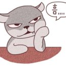국제전자