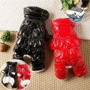 빛나는 강아지 이미지