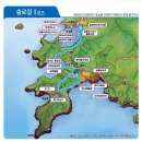 [진행중] 4월 19일(수)~20일(목)...완도투어~청산도 슬로시티 축제트레킹 이미지