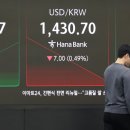 4081 한겨레