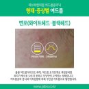 지선한의원 이미지