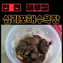 cu기흥고매점 맞은편 | 20개월 아기랑 인천 해루질 사람 없이 즐길 수 있는 십리포 해수욕장
