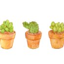 미림주유소 이미지