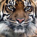 예수교대한하나님의성회은혜와진리교회 이미지