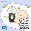 임신 주수 기록 25w, 26w👼🏻 | 26주에 찍은 쌍둥이 셀프 만삭 사진촬영
