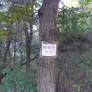 비학산 누리길 이미지