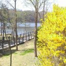 물빛공원옆 이미지