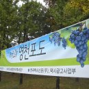 (주)영천신문