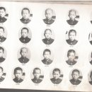 신성초교 이미지