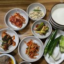 쌍둥이흑염소 이미지