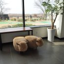 제주도 골프장 있는 카페 &#39;와흘을 그리다&#39; 이색 데이트 코스로 좋아요 :) 제주 조천카페, 애코랜드카페