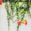 방배로 39 이미지