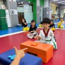 K용인대태권도장 이미지