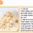 빅뱅센터 이미지