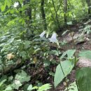 구룡2리 이미지