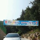 칠천도편백림펜션