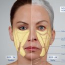 골드제이의원 이미지