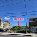 표선동서로 이미지