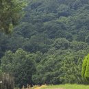 [6편] 2025년6월28일 토요일 서해랑길 40코스를 다녀와서! 이미지