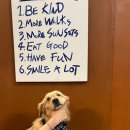 호텔훈트(Hotel Hunde) 이미지