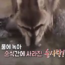테이블에이 이미지