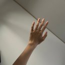 11500-5-32-06 | [임신일기 26주-32주] 임신 후기 증상 태동 하위태반 입체 초음파