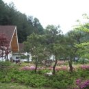 하이디하우스 이미지