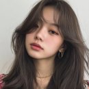 고려대로24길 네이버블로그