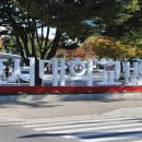 아라통상