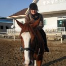 통도승마랜드 이미지