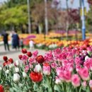 청초호유원지(중앙) 이미지