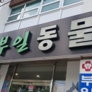 부일동물병원 이미지