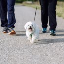 한국동물혈액은행 동물병원 이미지