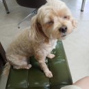 김포현대카독크 이미지