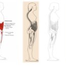 핏구공피티스튜디오&소정필라테스 이미지