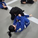 블랙캣주짓수 네이버블로그