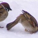 (주)테라 이미지