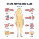 더예그린한의원 이미지