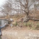 사천2리 Daum카페
