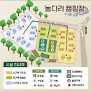농다리캠핑장 | [여행후기]진천 농다리 캠핑장 후기｜자연 속 힐링 감성 캠핑, 가족과 함께한 하루