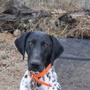 시지동물병원 이미지