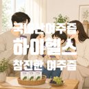 참좋은몰 | 매일 챙기는 가벼운 건강 루틴, 하이헬스몰 '참진한 여주즙' 솔직 후기 (부모님 명절 선물 추천)